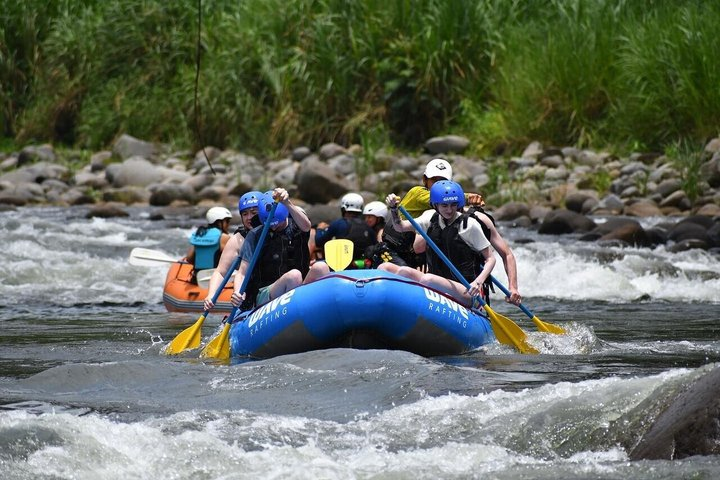 Rainforest Falls & Rafting Class II & III - Photo 1 of 7